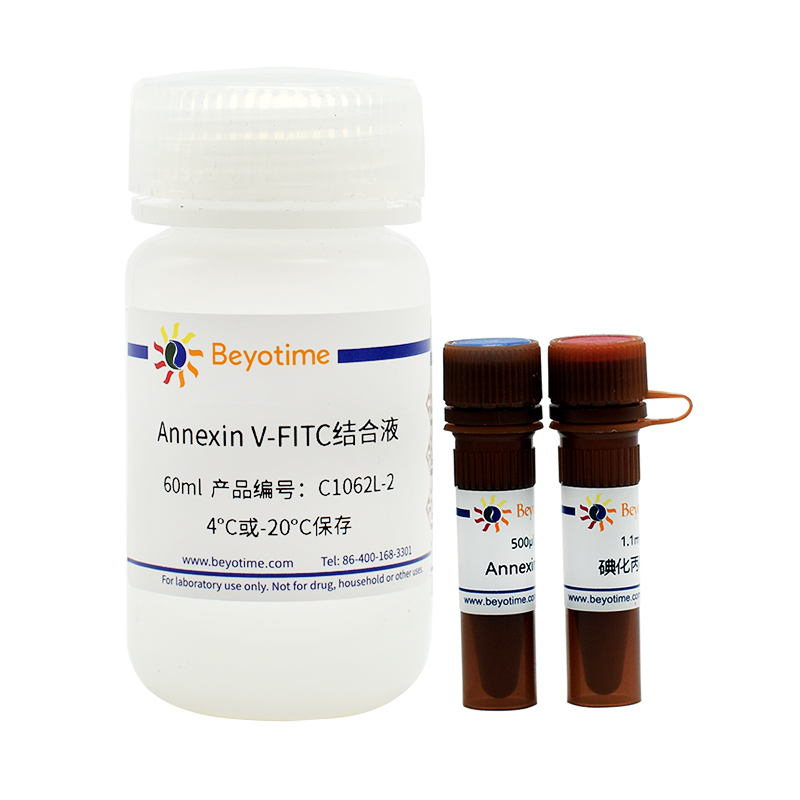 碧云天 C1062l Annexin V Fitc细胞凋亡检测试剂盒