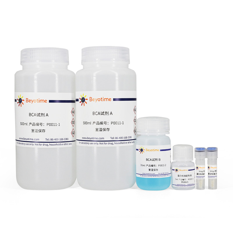 碧云天-P0011-BCA蛋白浓度测定试剂盒