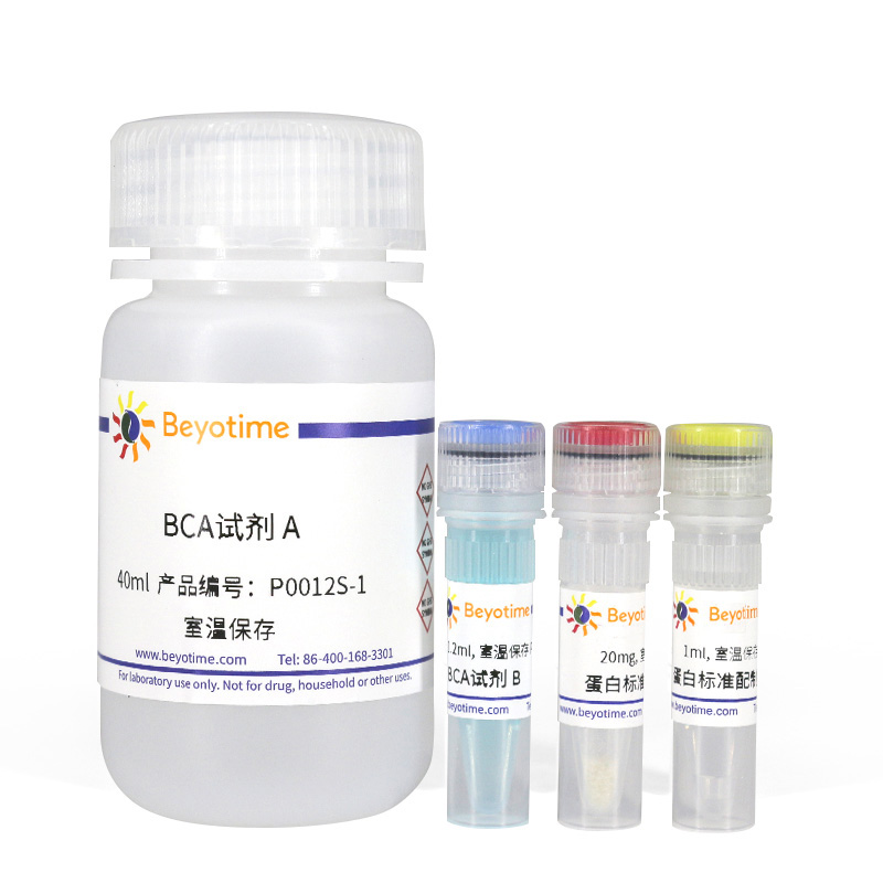 碧云天-P0012S-BCA蛋白浓度测定试剂盒